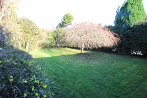 Garden- click for photo gallery